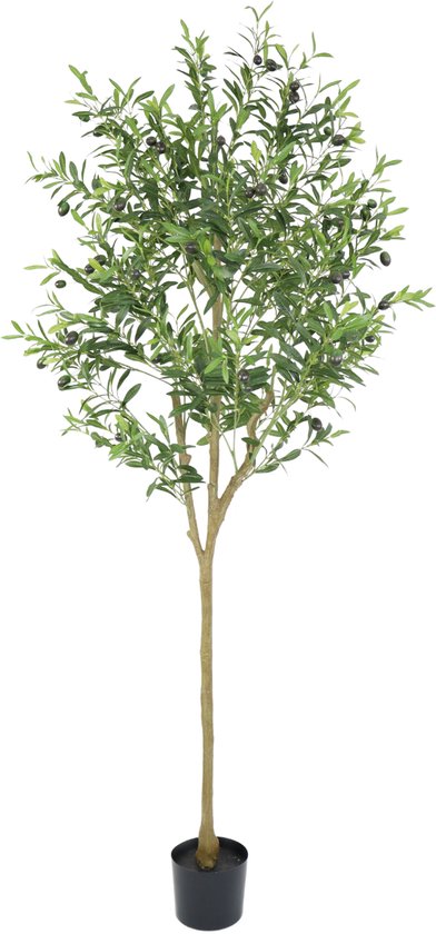Kunstmatige olijfboom met groene bladeren en donkere olijven in een zwarte basis, geïsoleerd op een witte achtergrond.