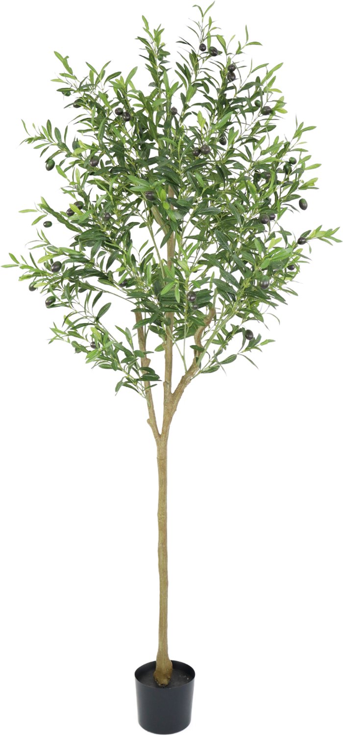 PrettyPlants Kunst Olijfboom 180cm Groen
