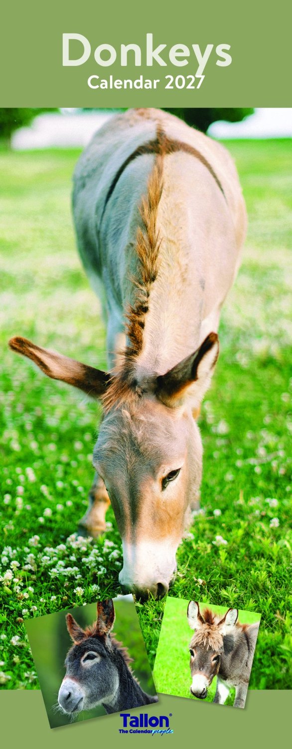 Donkey, Foal, Horse, Pony Kalender 2027 Slimline
