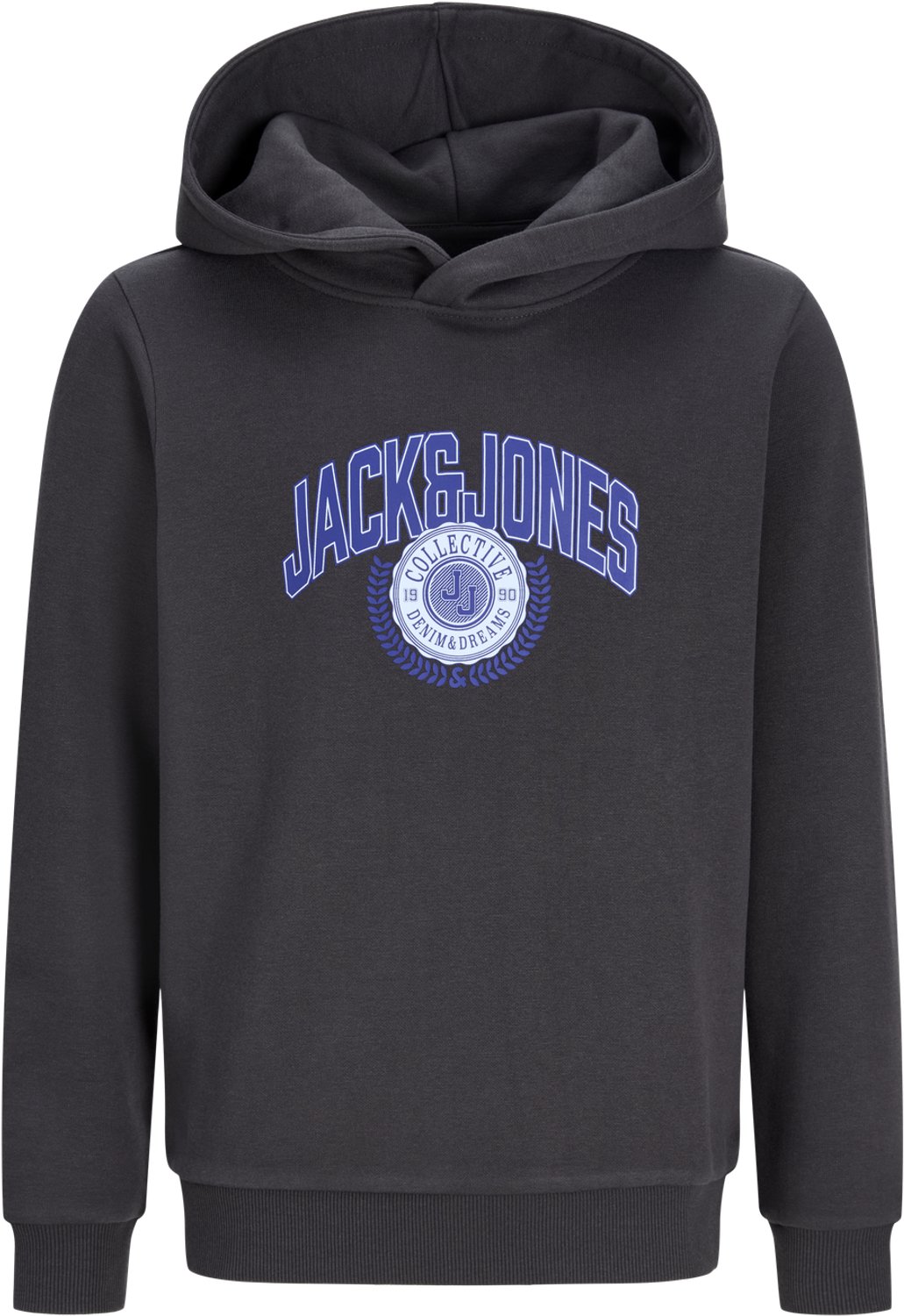 JACK & JONES JUNIOR - JJCOLLEGEY LOGO SWEAT HOOD JNR Jongens Trui