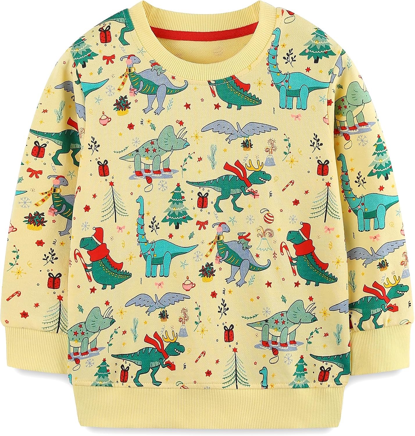 Sweatshirt voor jongens, lang mouw, katoen, 2-7 jaar.