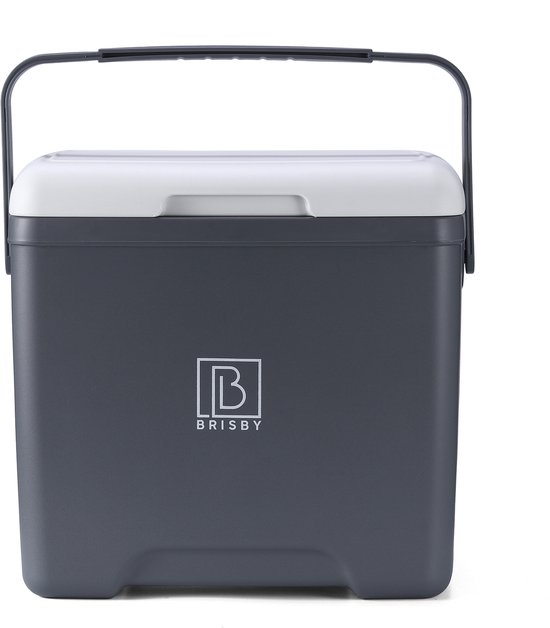 Brisby Koelbox - Frigobox - 13L- Grijs - Tot maximaal 40 uur isolatie - Incl. 2 dikke koelelementen van 450ml - Met koelelementen vergrendeld in deksel en Brisby 500ml Zwarte Dubbelwandige Thermosfles van Brisby — afbeelding 3