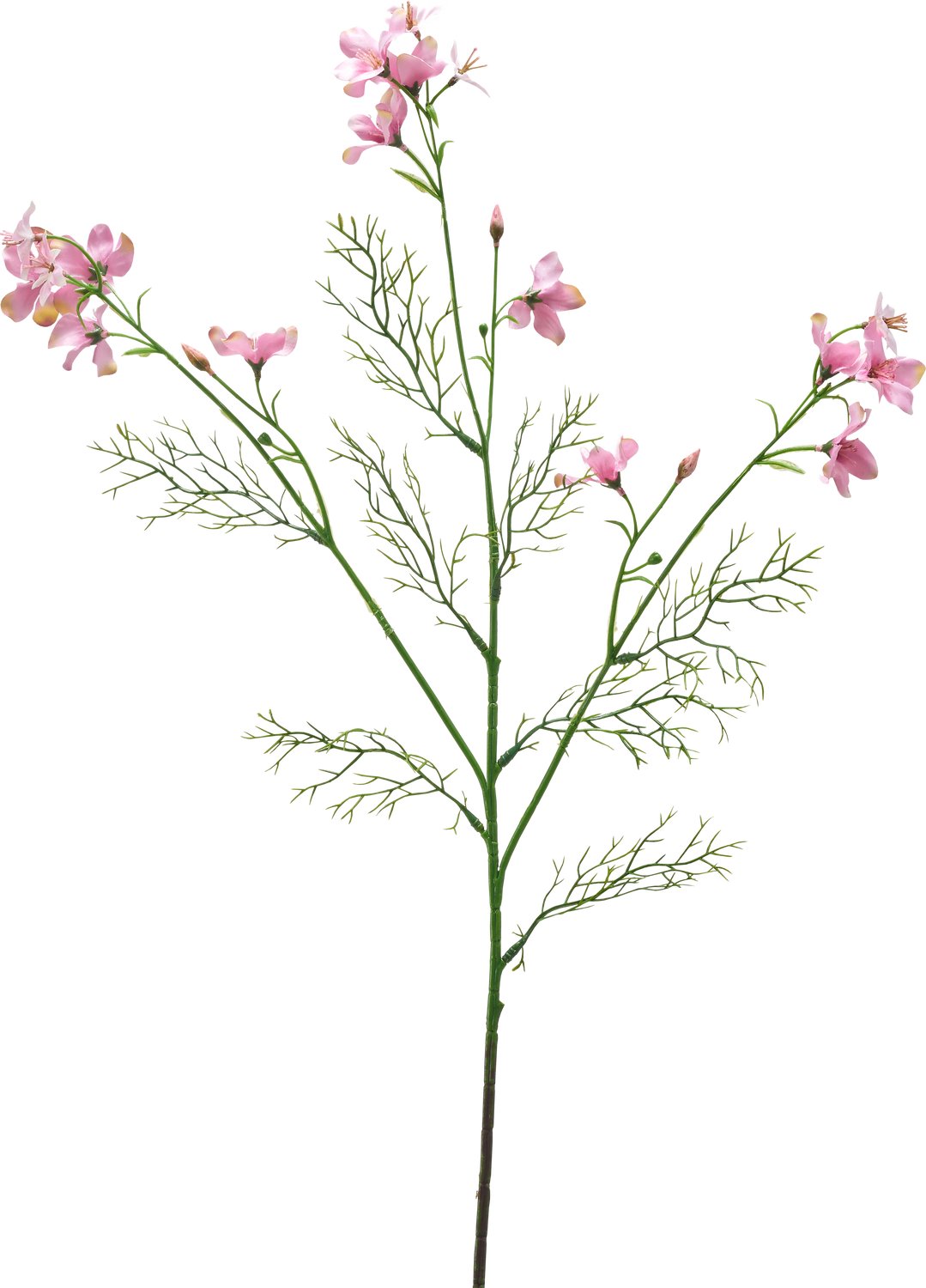 Easyplants | Kunstbloem Wilde Delphinium 71 cm licht roze | Zijde | Nepbloemen | roze | Onderhoudsvrij | Kant-en-klaar