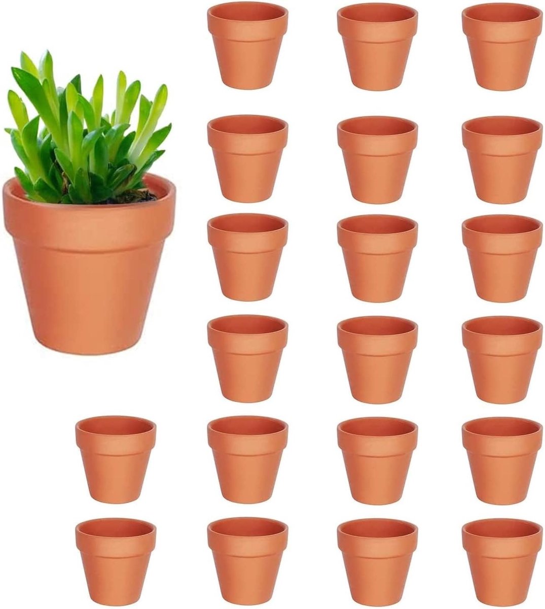 Terracotta potjes voor het kweken van bloemen, 4.5 cm, set van 20, ideaal voor tuin en interieur