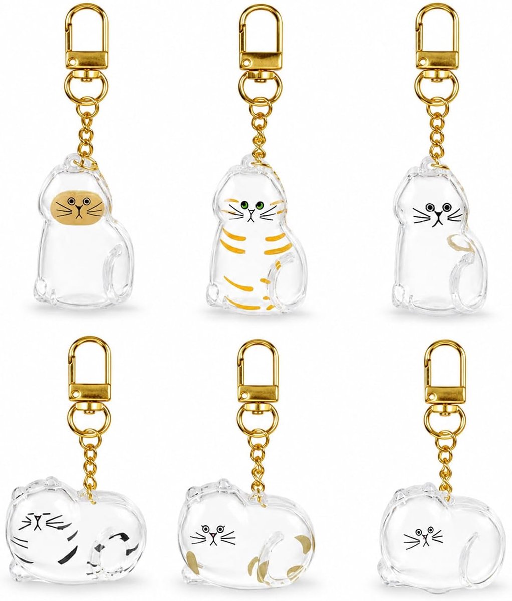6 Katten Acryl Sleutelhangers Huisdier Aandenken Cadeau