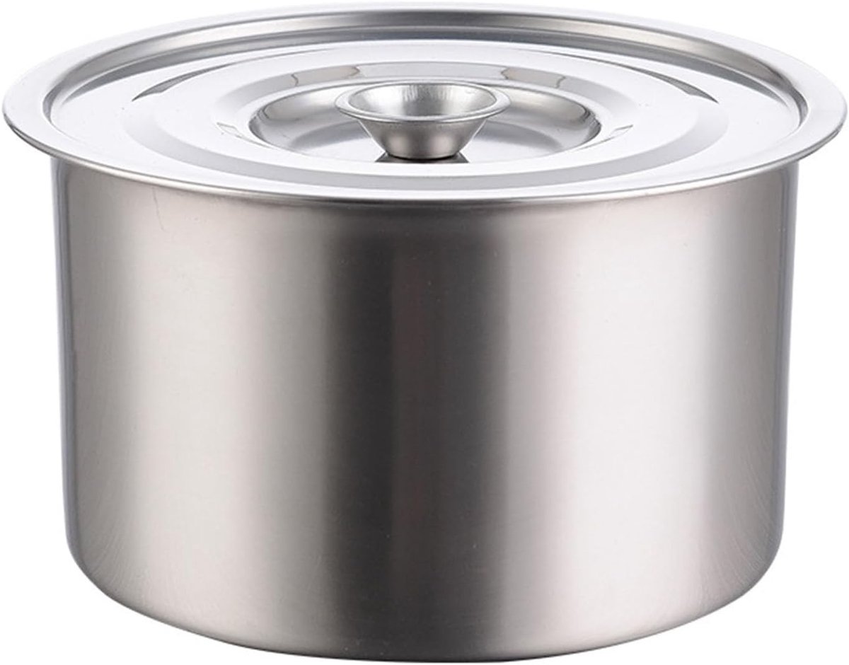 RVS Soeppan met Deksel - Inductie Geschikt Kookpot voor Soepen, Bouillon en Eieren (22 cm)