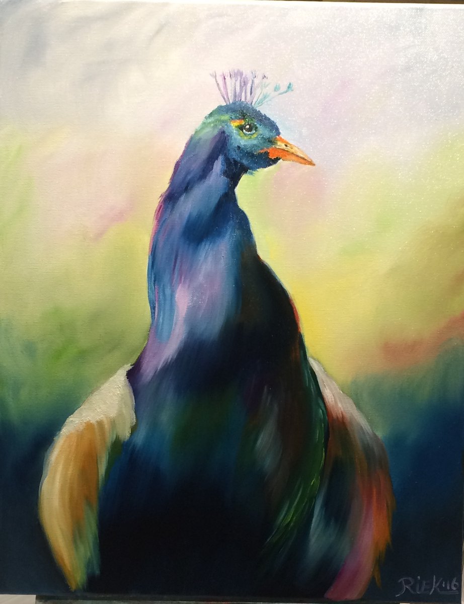 Olieverfschilderij Pauw – Handgeschilderd door Riek van de Bor – 40 x 50 cm