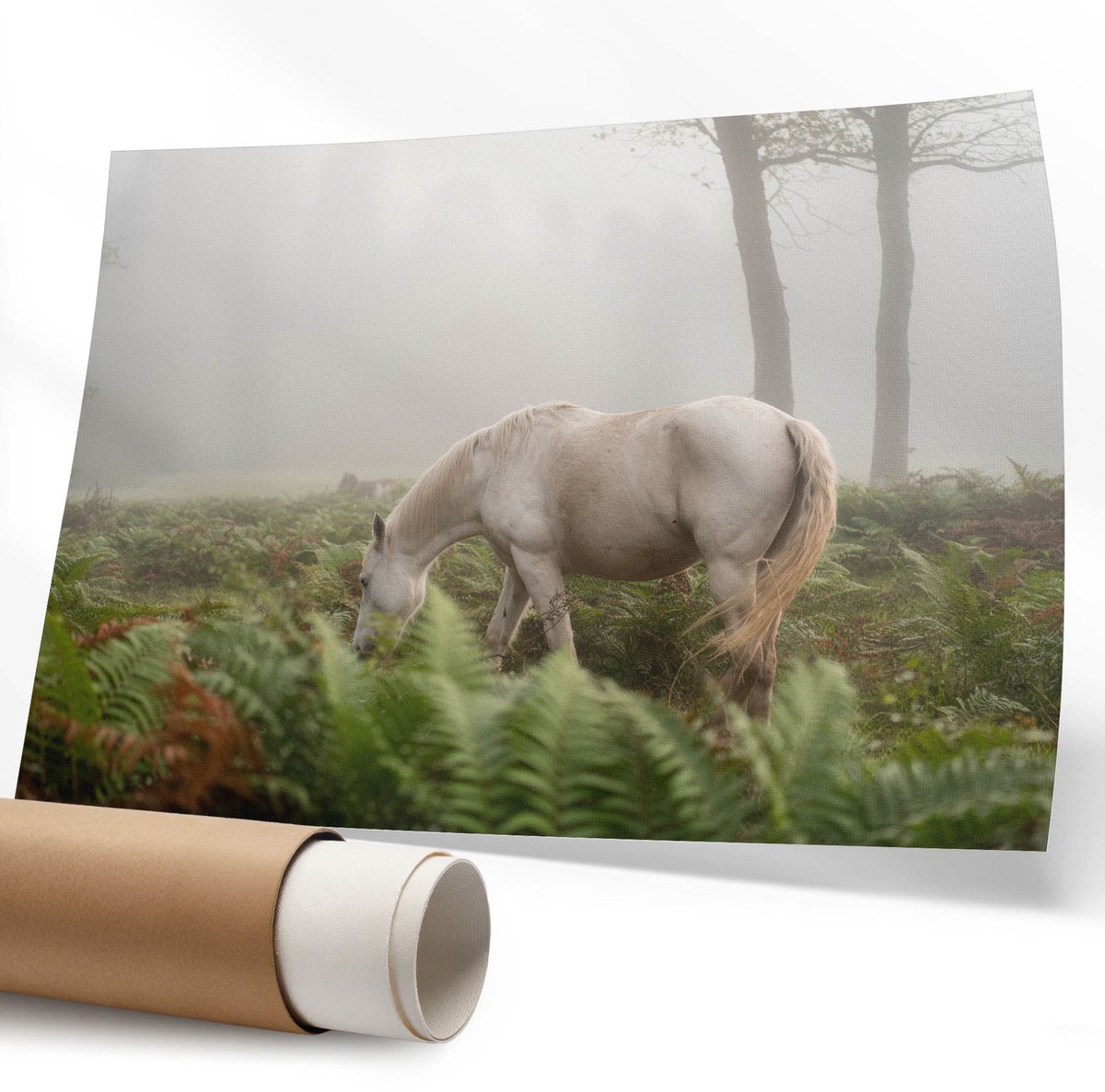 Coloray Polycanvas Wandposter - Olifant En Vrede, Fotografie - 594 x 840 mm - Grijs Illustratie - Rechthoek - Canvasposter - Woonkamer - Klassiek