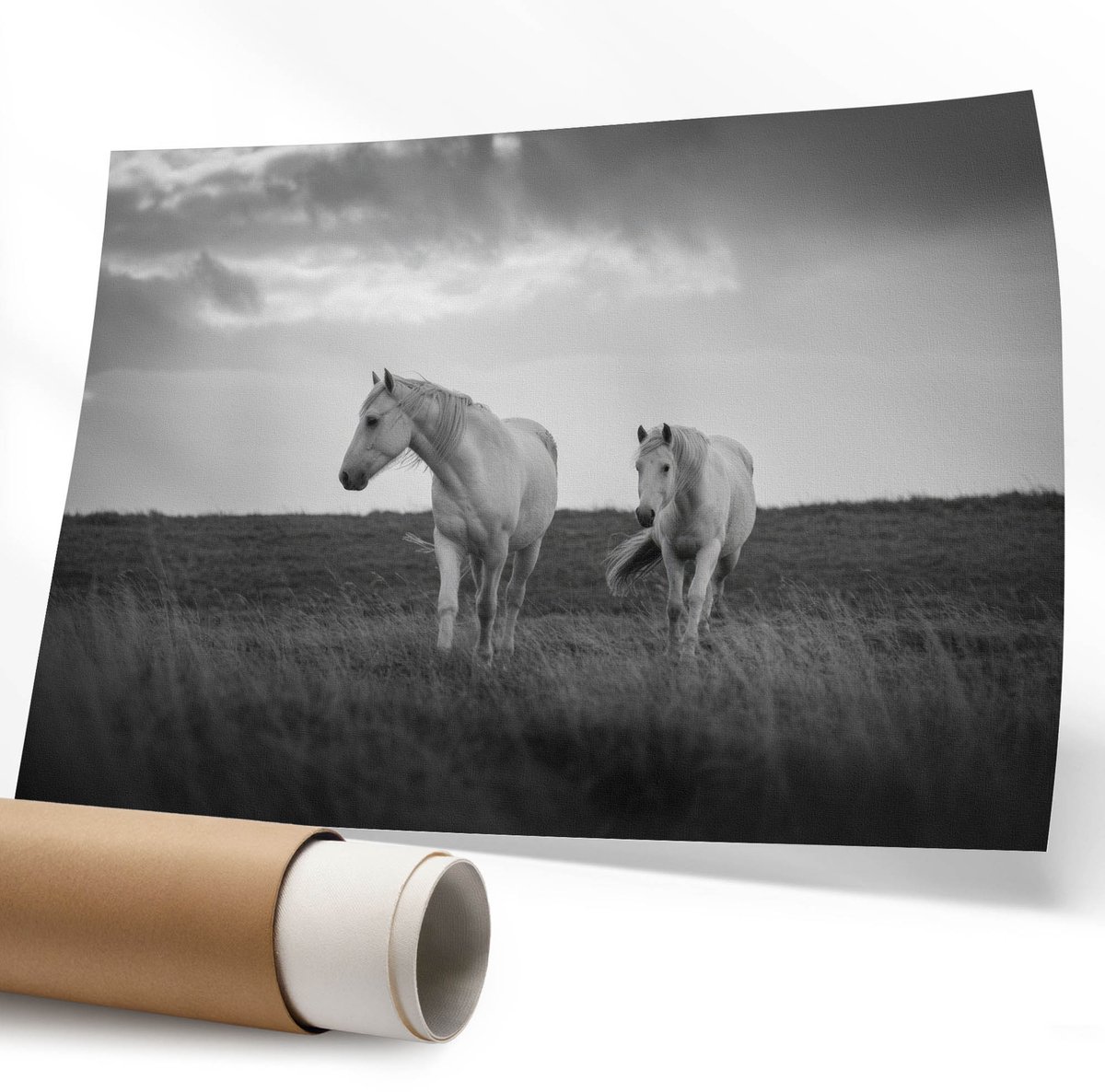 Coloray Polycanvas Wandposter – Witte Paarden, Zwart-Wit – 594 x 840 mm – Groen Design – Rechthoek – Canvas Wandposter – Woonkamer – Modern