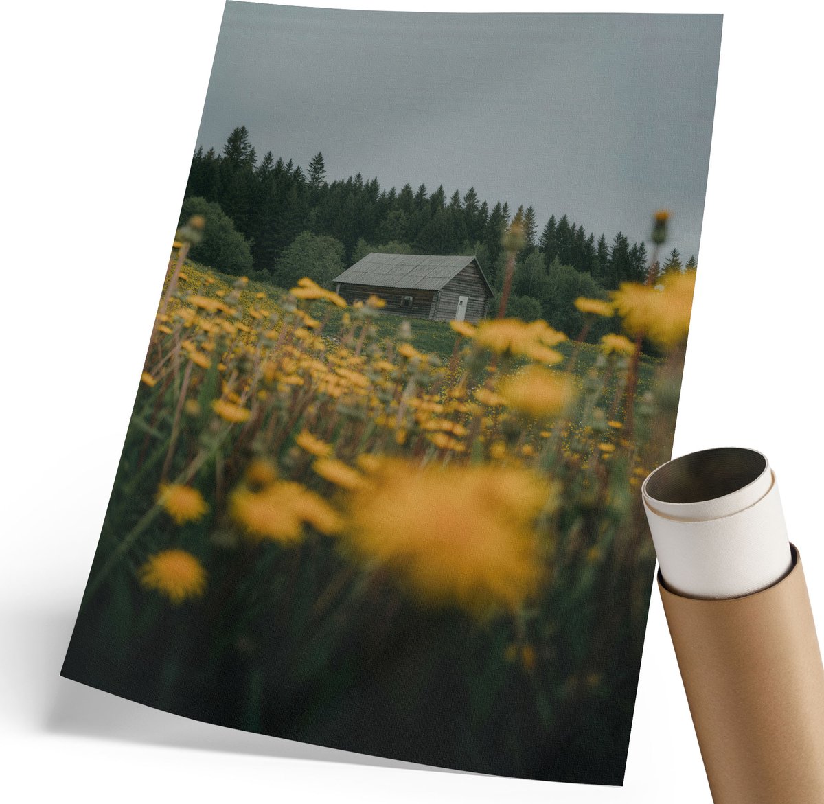 Coloray Canvas Poster Polycanvas - Rustieke Idylle, Fotografie - 210 x 297 mm - Groen Decoratie - Rechthoek - Decoratieve poster - Woonkamer, Slaapkamer, Kantoor - Rustiek