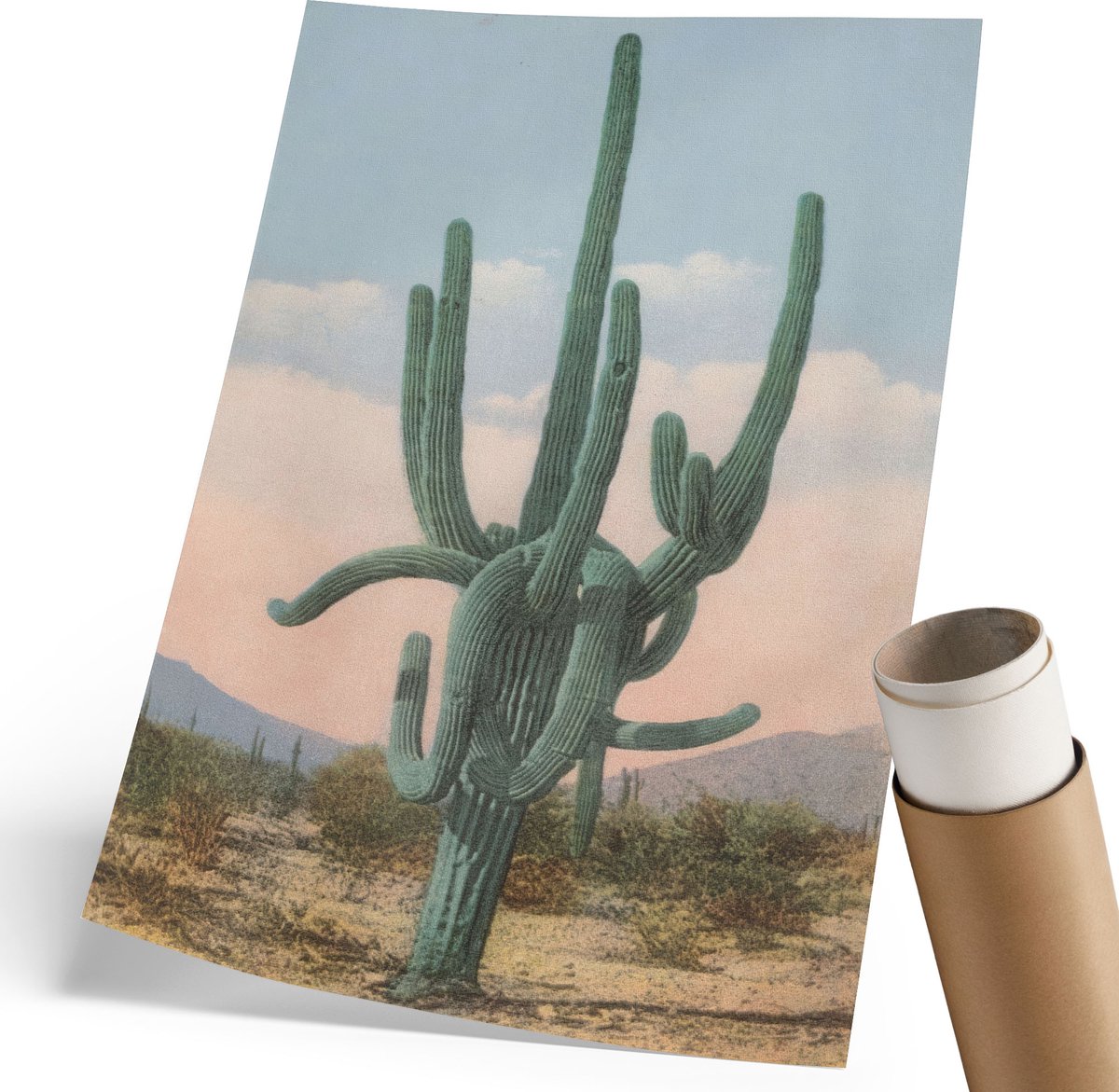 Coloray Polycanvas Poster - Grote Cactus, Fotografie - 210 x 297 mm - Groen Wandposter - Rechthoek - Muurdecoratie - Woonkamer, Slaapkamer, Kantoor - Vintage