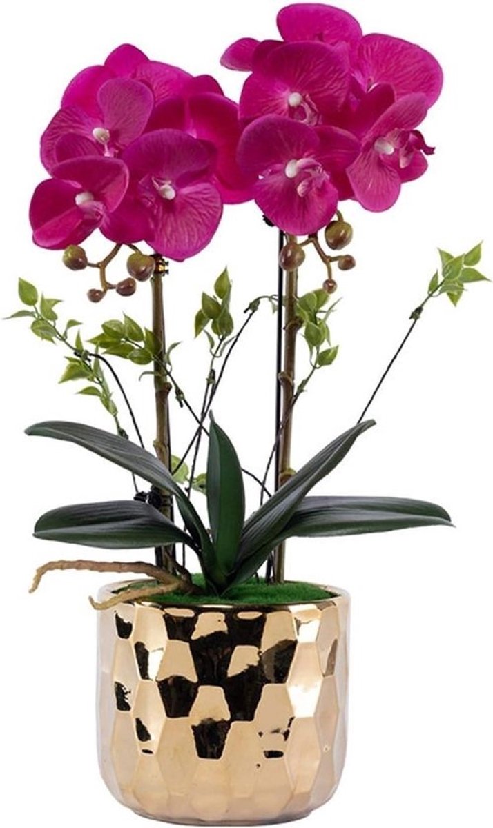 Kunstorchidee in pot - Nepbloemen Phalaenopsis - Huisdecoratie - Realistisch PU materiaal - 48 cm hoog - Wit