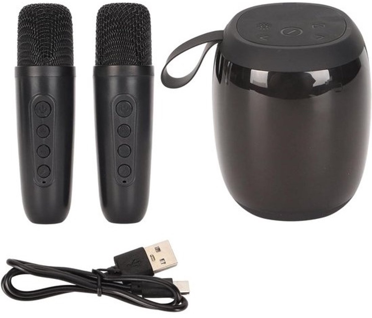 Karaoke Microfoon Luidspreker - Karaoke Set Muziek Systeem - Feestjes Organiseren - Met 2 Microfoons