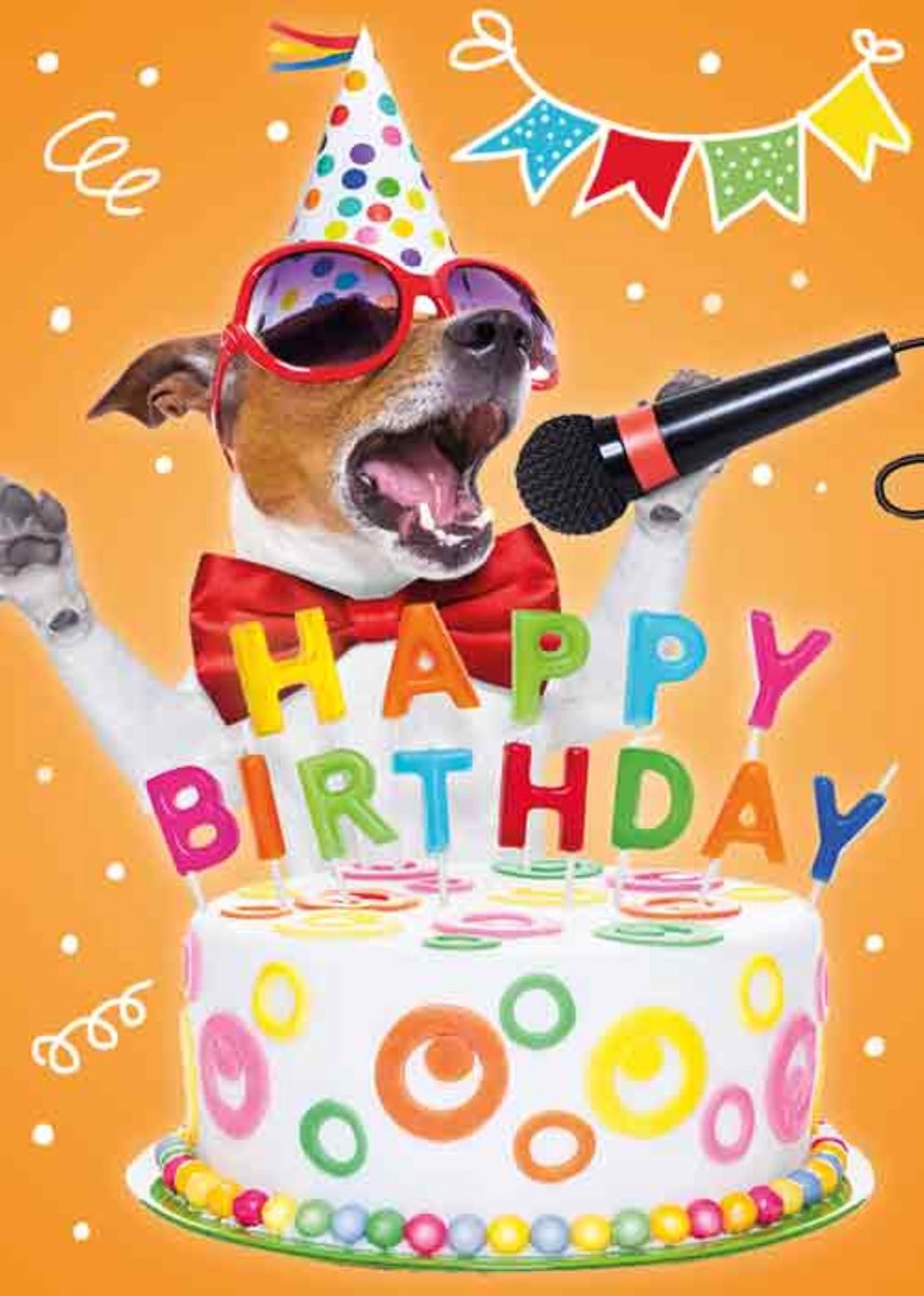 Luxe Wenskaart Verjaardag - Wenskaarten - Verjaardagskaart - Jarig - Birthday - Geburtstag - Anniversaire - Serie Bowie H. - Artige - Kaart - 1 Stuks - In Folie - Gratis Verzonden - Hoge Afnamekortingen - 12x17cm