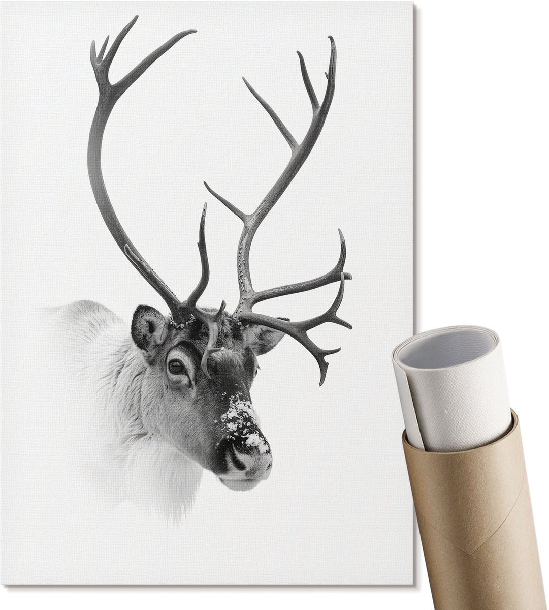 Coloray Canvas Poster Polycanvas - Winterrendieren, Fotografie - A4 - Zwart-wit Patroon - Rechthoek - Decoratieve poster - Woonkamer, Slaapkamer, Kantoor - Klassiek