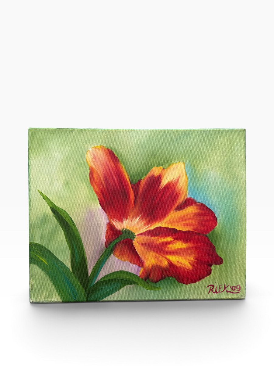 Olieverfschilderij Rembrandt Tulp – Handgeschilderd door Riek van de Bor – 24 x 30 cm