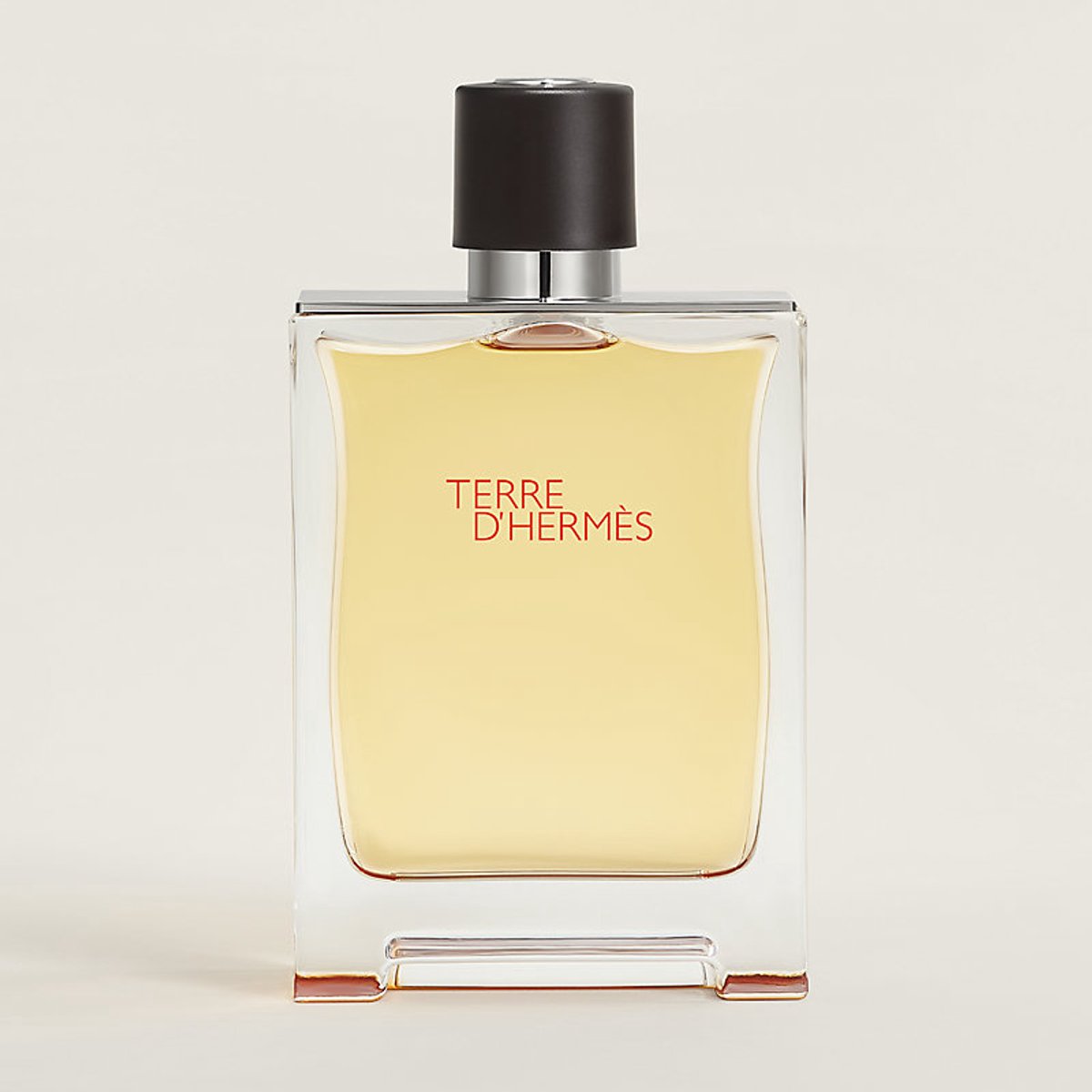 Hermès Terre d’Hermès Flacon H Limited Edition Eau de Toilette 100 ml