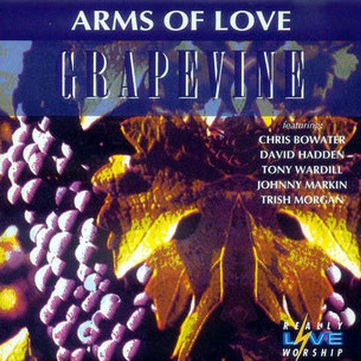 Arms of Love - Grapevine
