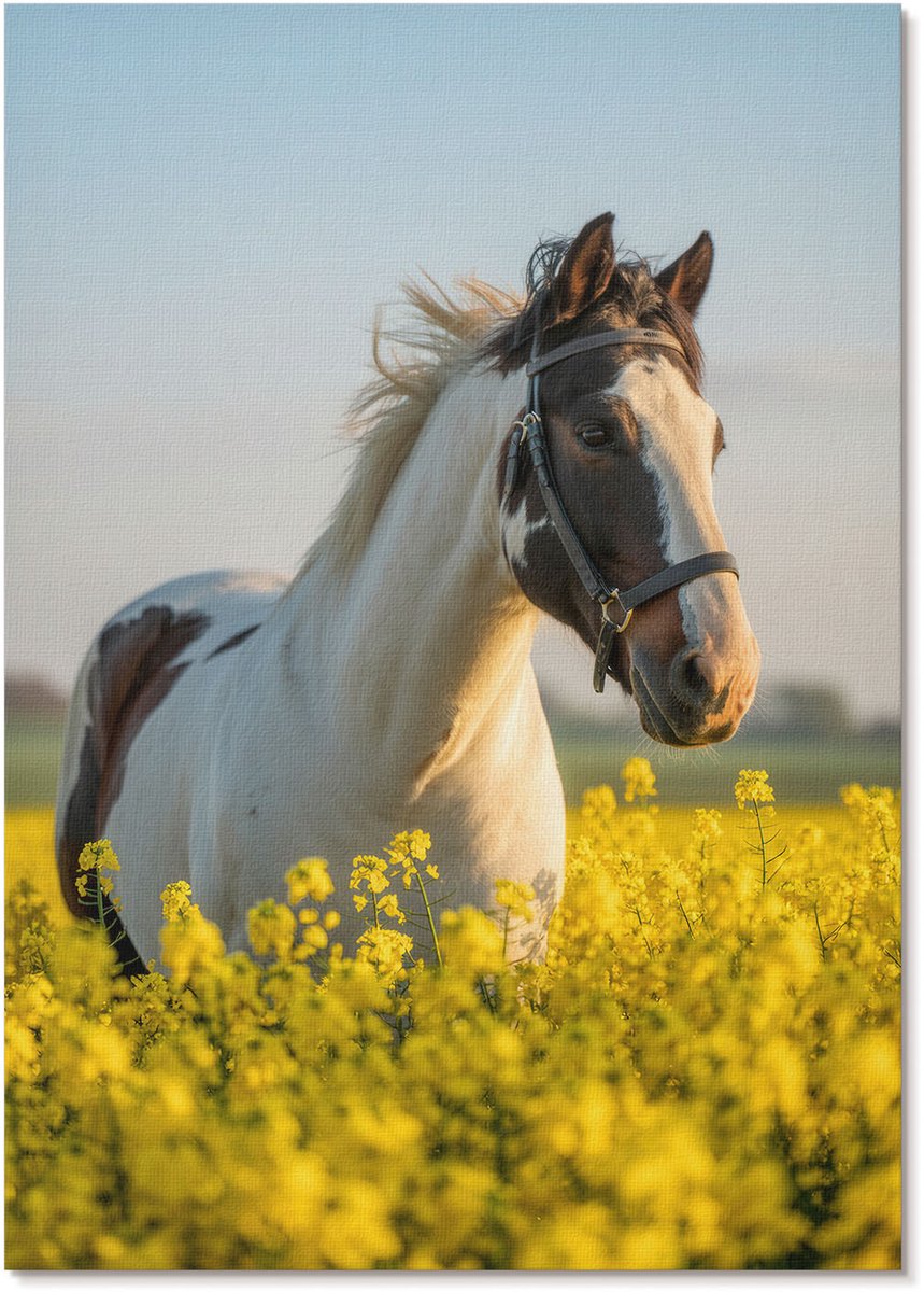 Tulup Canvas Poster Polycanvas - Een Paard In Een Veld, Fotografie - A4 - Geel Decoratie - Rechthoek - Decoratieve poster - Woonkamer, Slaapkamer, Kantoor - Klassiek