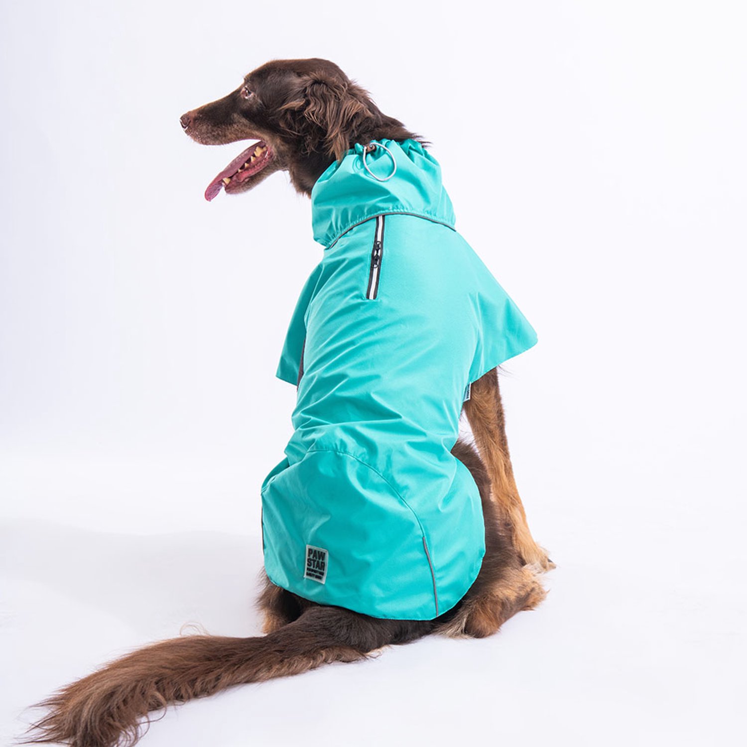 Pawstar Colombia - Hondenregenjas - Mintgroen - S