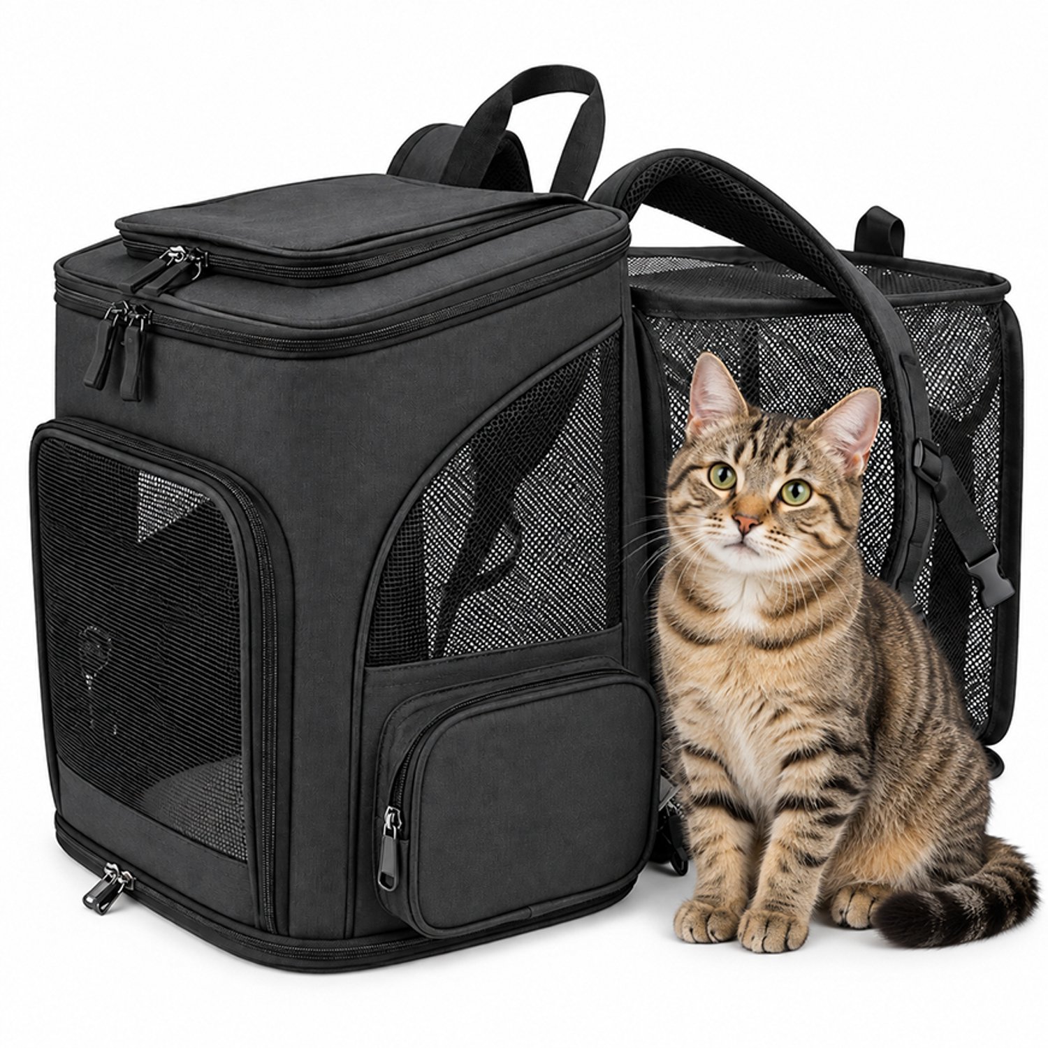 Lifhelpe Kattenrugzak en Hondenrugzak tot 8 kg – Huisdierenrugzak 42 × 33 × 27 cm – Met Ventilatievenster, Verstelbare Schouderbanden en Rugkussen – Zwart