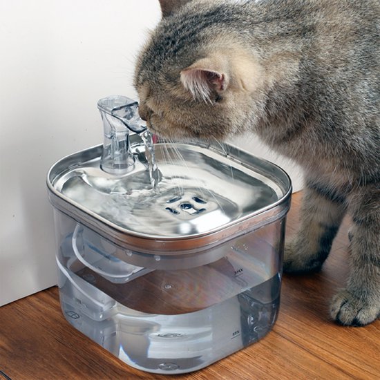 Grijze gestreepte kat die drinkt uit een roestvrijstalen drinkfontein met transparant reservoir.