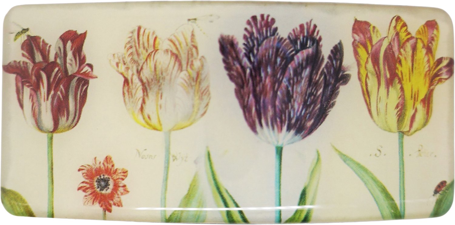 SOUV© - solide stevige duurzame Haarspeld -Tulpen Jacob van Marrel- Haarklem - Haarclip - French barette - Patentspeld- Haaraccessoire - Beste kwaliteit - made in France speld - klemt zeer goed - glijdt niet uit -1 jaar garantie