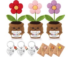Cadeau voor Docenten: 3 Gehaakte Planten met Bloemen voor een Unieke Decoratie