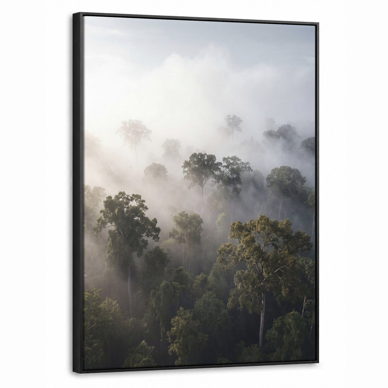 Canvas Schilderij met Baklijst - Bos - Mist - Natuur - Groen