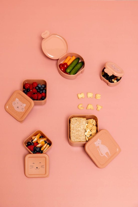 Drie Mrs. Cat snackdoosjes gevuld met fruit, groenten en crackers, met het woord 'MRS CAT' in koekjesvorm.