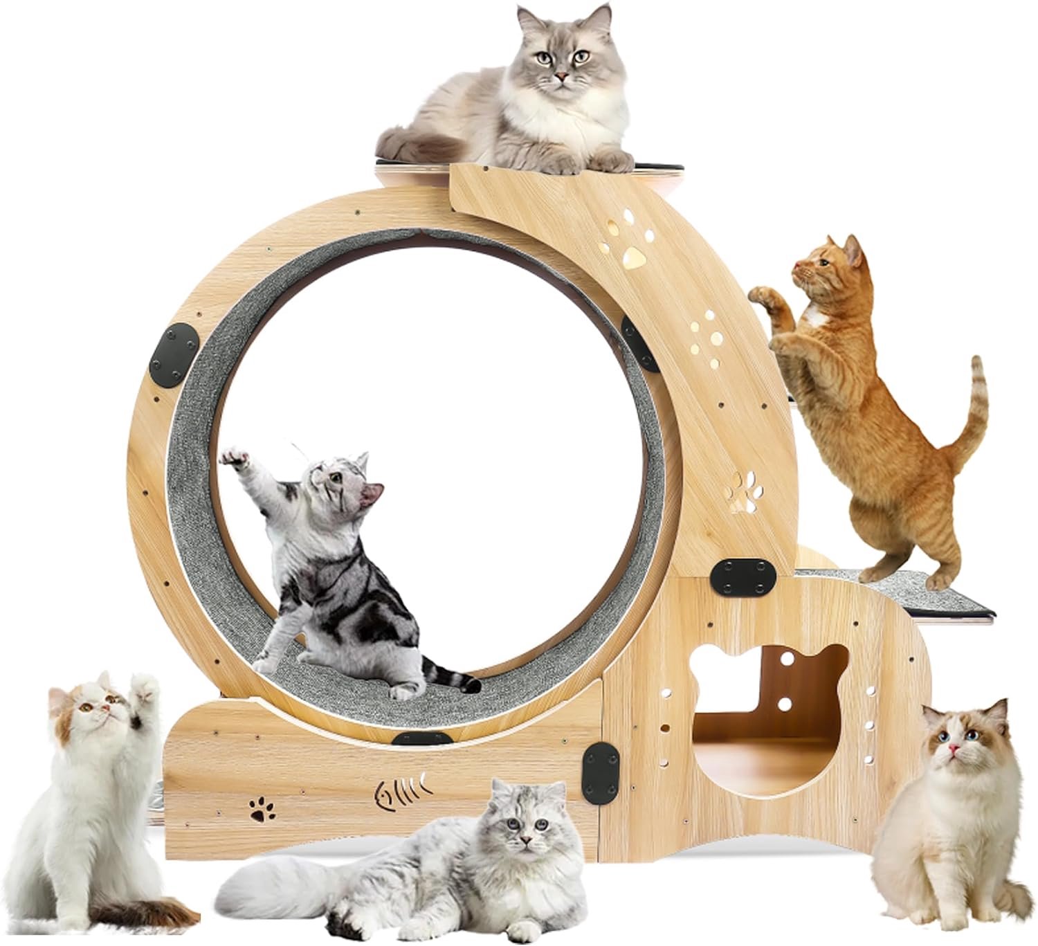 Blossom Katten Loopwiel - Looprad voor Kat - Kattenwiel - Cat Wheel - 6 in 1 Multifunctioneel - Stevig Hout - Stil - Binnen - Kattenmeubels - Draagvermogen tot 20 kg