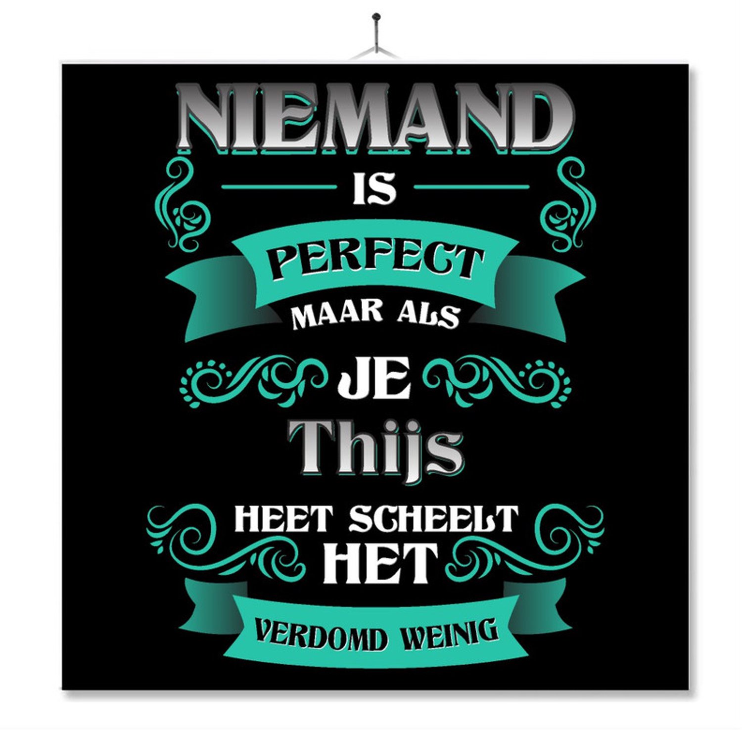 MC Living Tegel Met Opdruk | Kado | Cadeau | Niemand Is Perfect Maar Als Je Thijs Heet Scheelt Het Verdomd Weinig Multi-Color