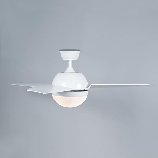 QAZQA bora - Plafondventilator met lamp en afstandsbediening - 2 lichts