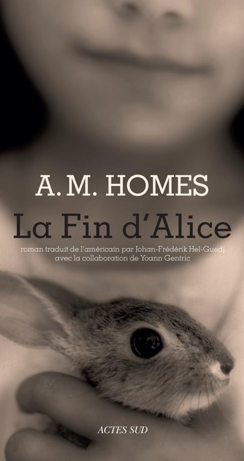 Boek La Fin d'Alice - Roman