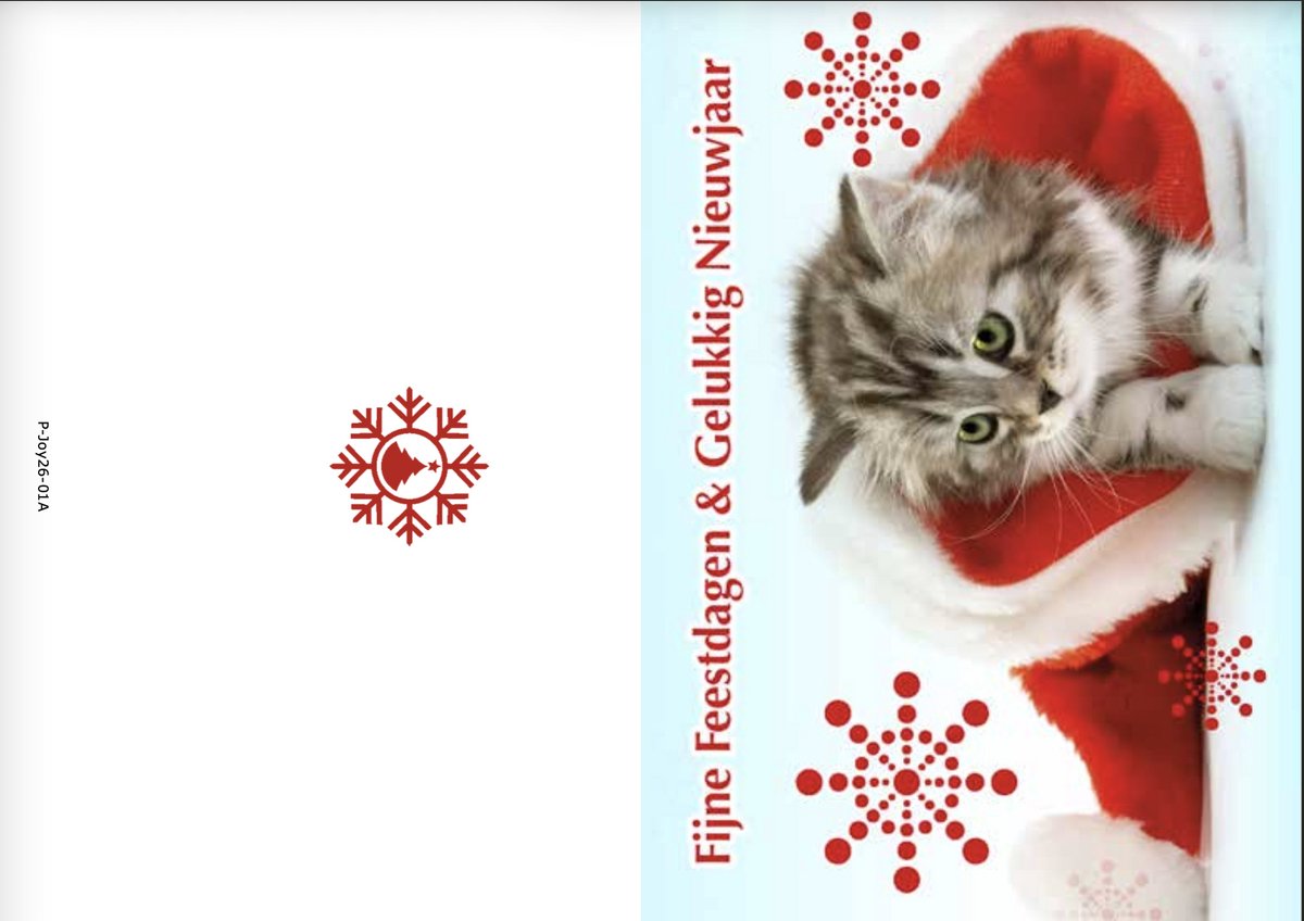 Kerstkaarten box Joy Animal 2 Cat