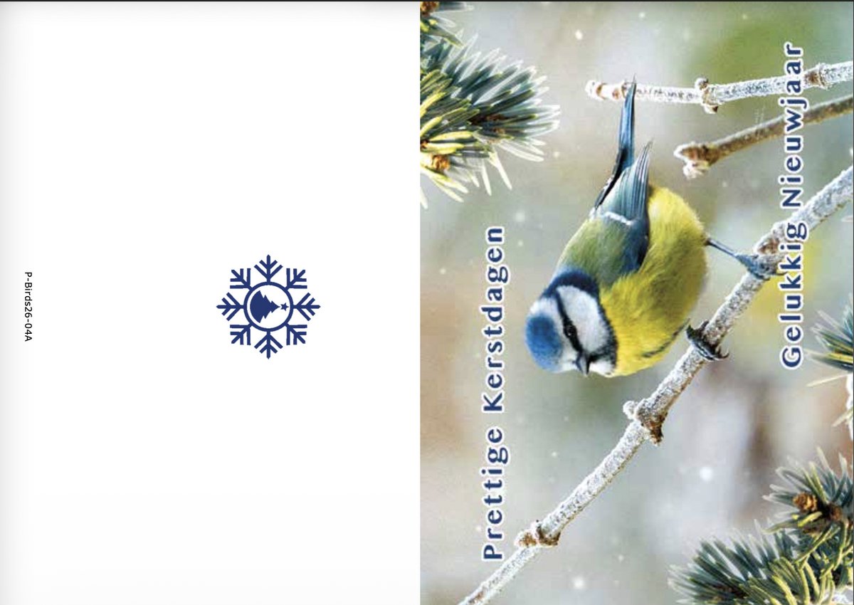 Kerstkaarten box Birds 4