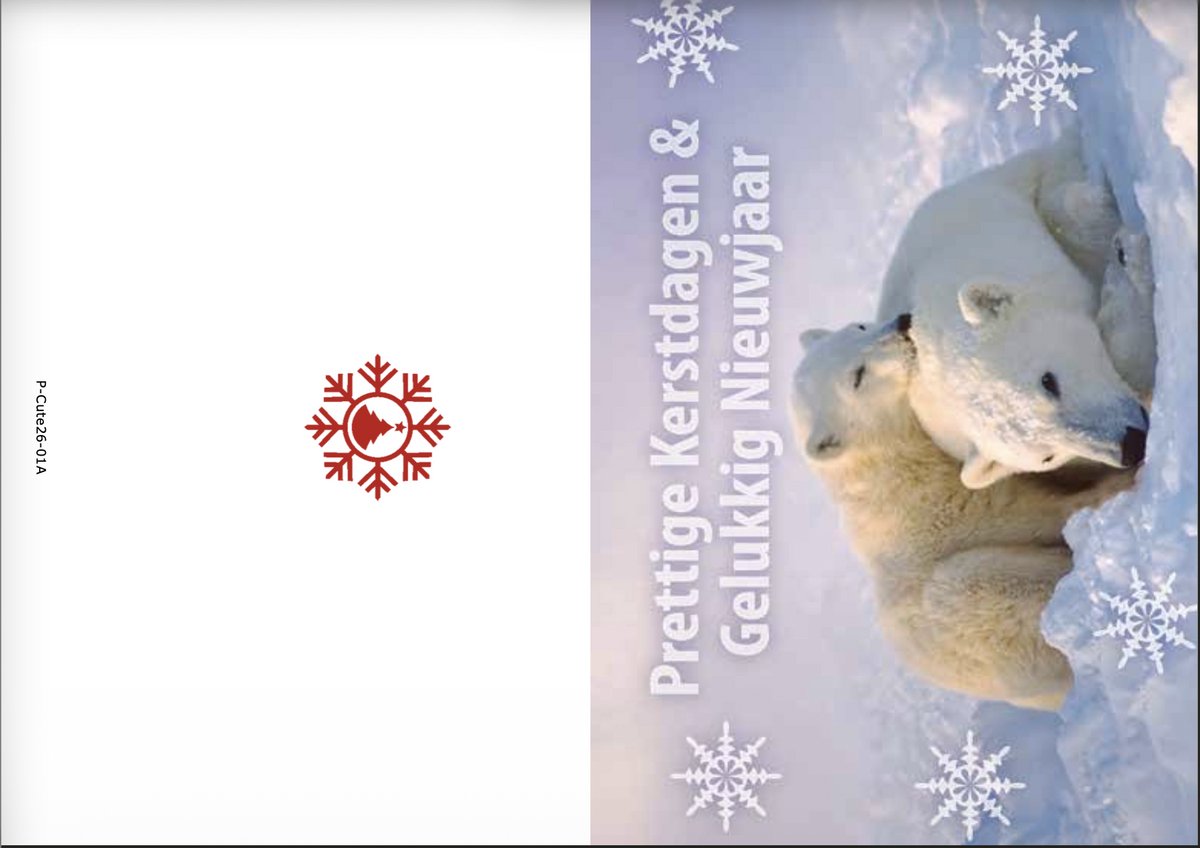 Kerstkaarten box Cute 2 Animal