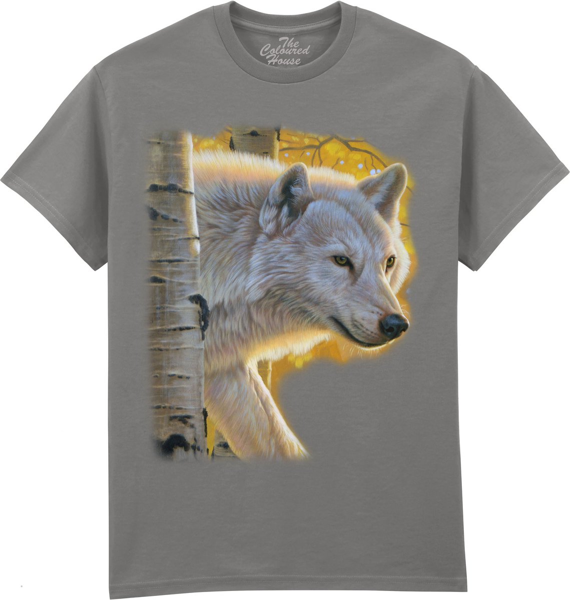 Aspen Wolf The Coloured House T-shirt L