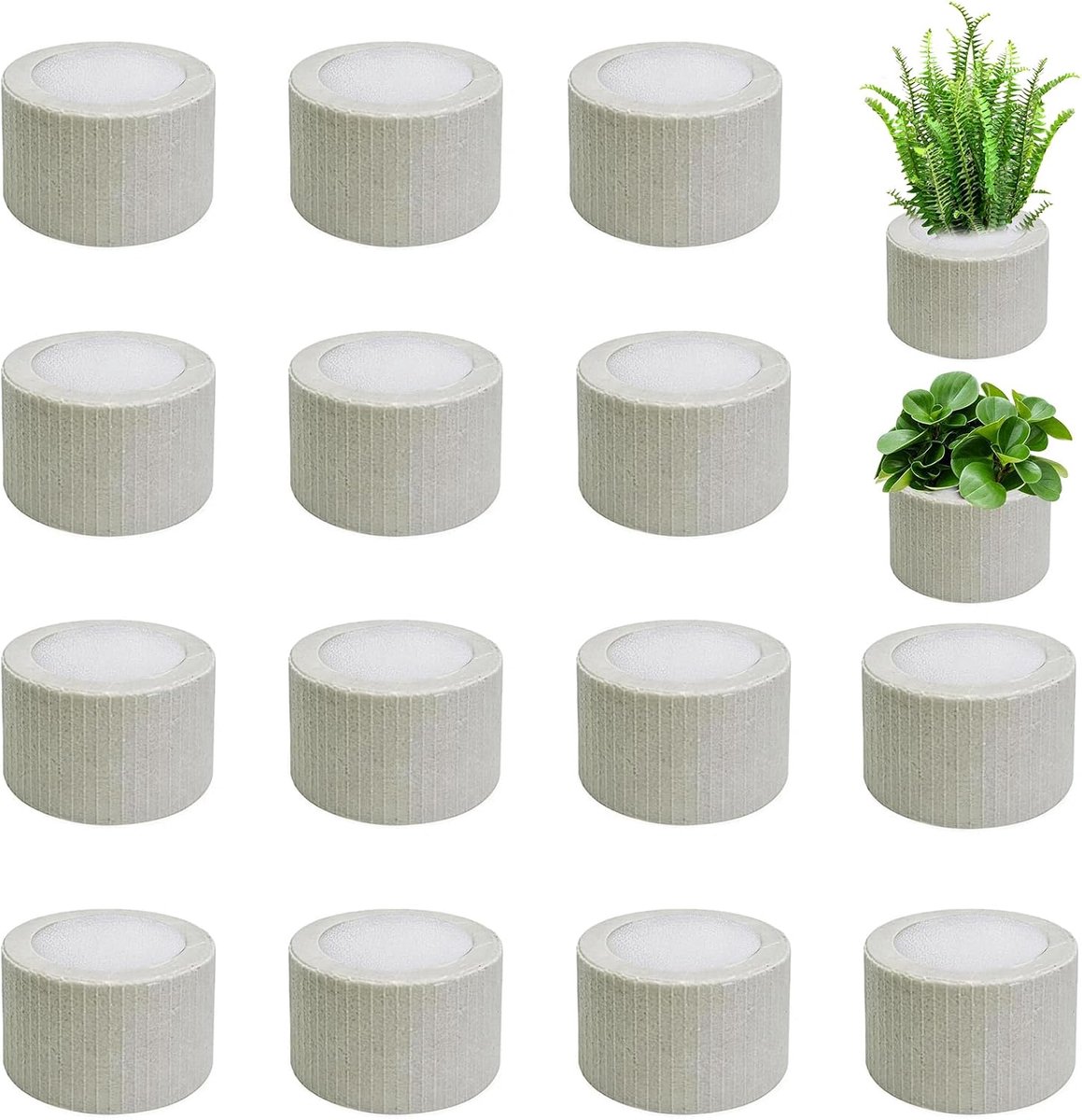 20 stuks waterplanten vaste ring, 4,5 cm aquariumring voor waterplanten met 20 geplant katoen, aquariumplantenhouder bevordert een gezonde wortelgroei voor aquaria visbak
