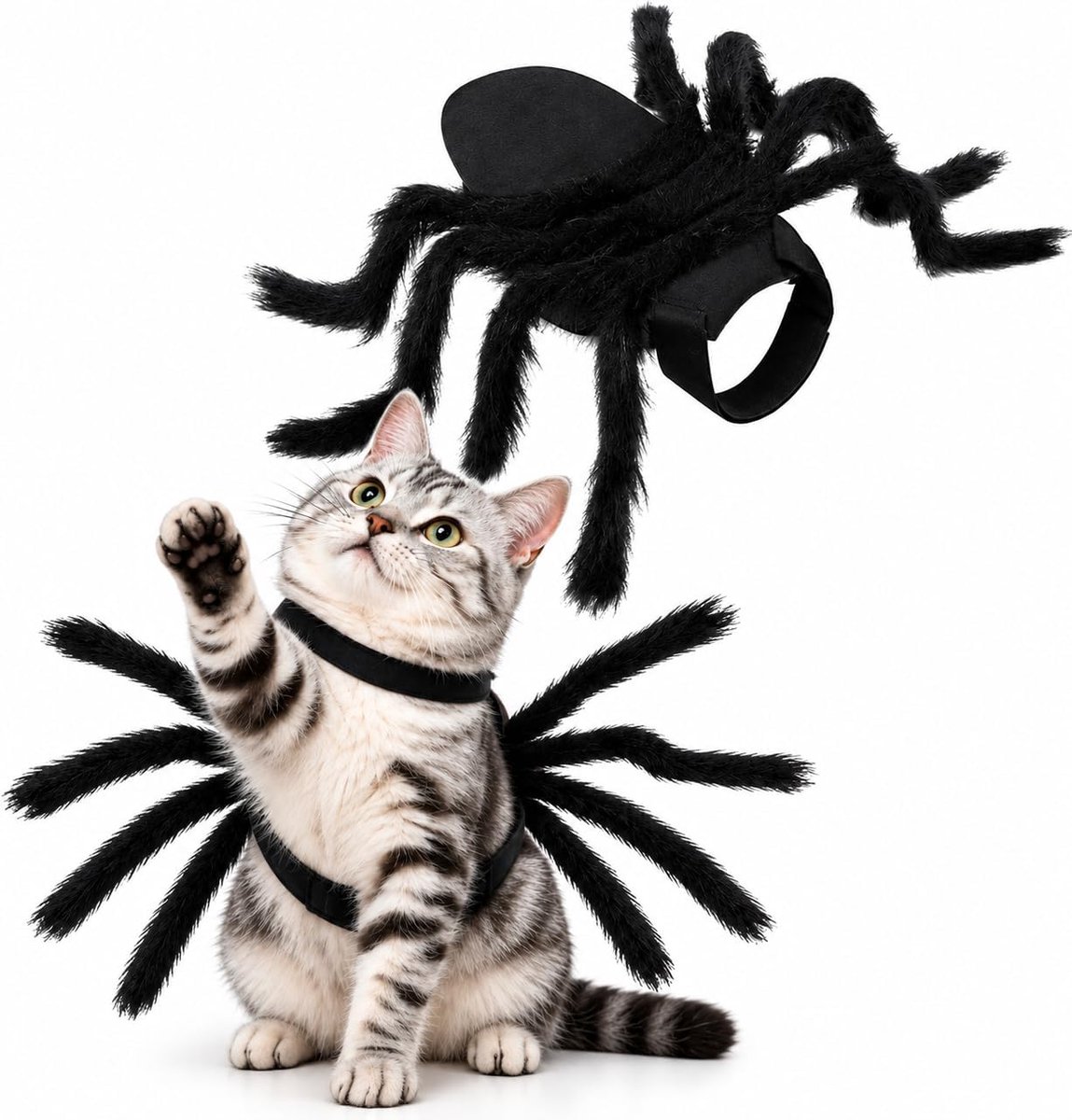 Halloweenkostuum voor katten en kleine tot middelgrote honden, zwart, maat M, vilt