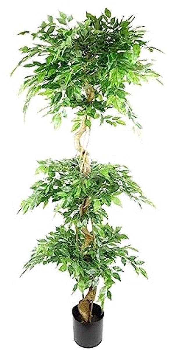 Realistisch Kunst Ficus Boom 180cm Drievoudige Bol Topiary