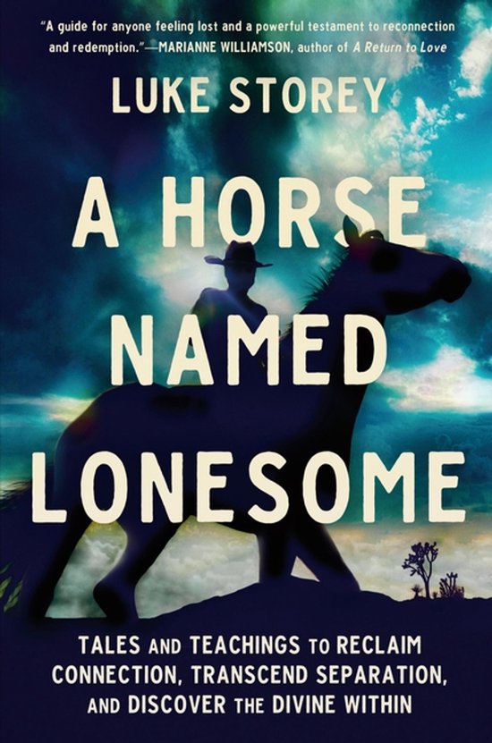 Boekomslag: silhouet van een ruiter op een paard tegen een dramatische blauwe hemel met de titel A Horse Named Lonesome.