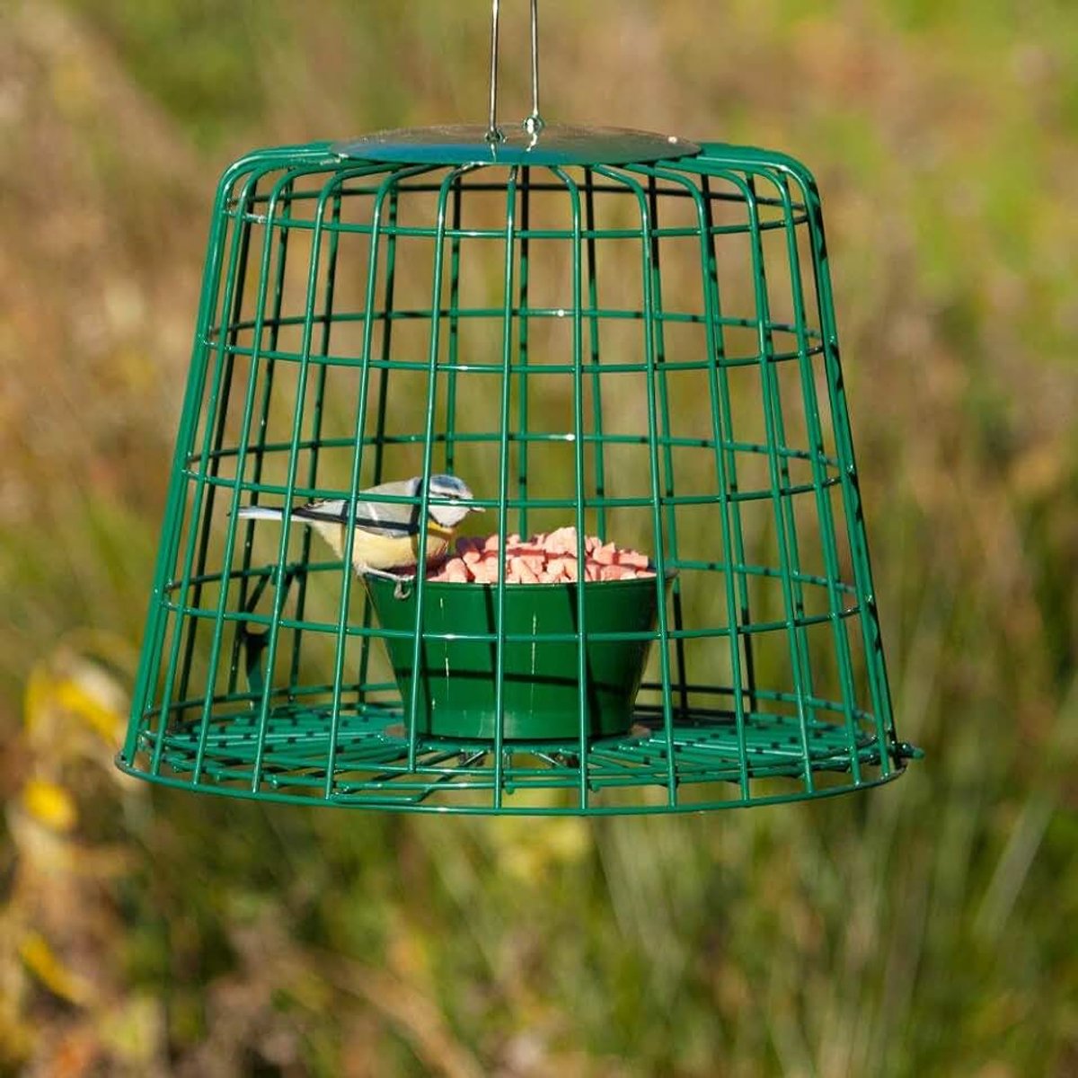 Wildlife Beschermkooi voor Voedersilo voor Tuinvogels – 2-in-1 Voersysteem – Metaal Groen – Geschikt voor Vetvoer en Meelwormen – Beperkt Toegang Grotere Soorten