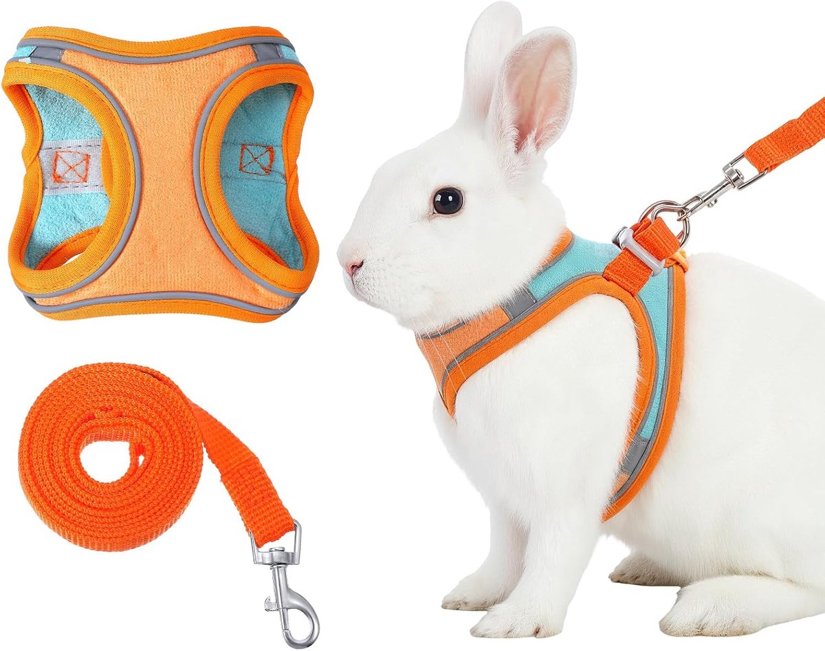 Konijnenharnas met riem, verstelbare konijnenlijn, hazenaccessoires, kittens, huisdier, konijnen, harnas voor katten, kleine honden en andere kleine huisdieren, oranje, S