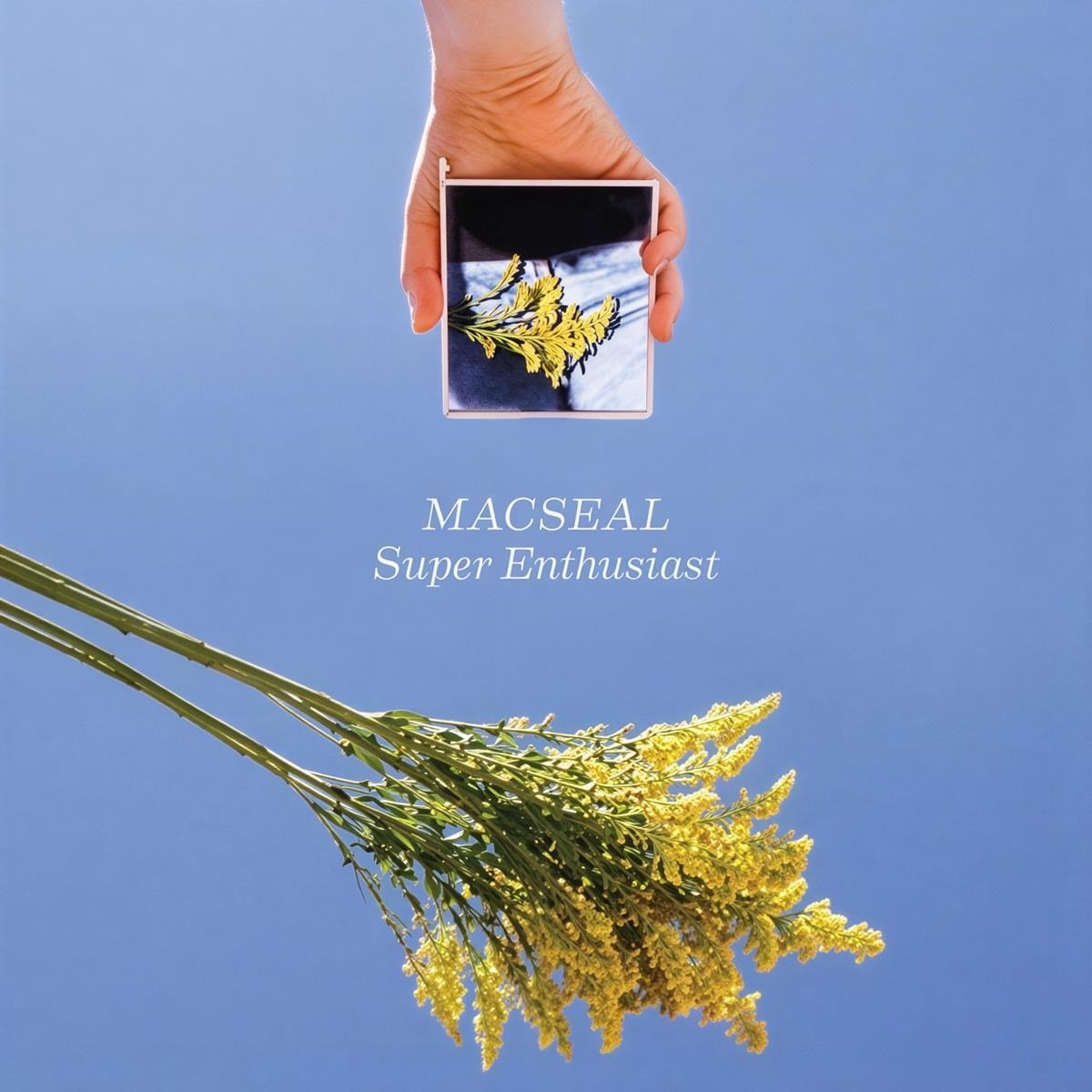 macseal - Super Enthusiast (CD)