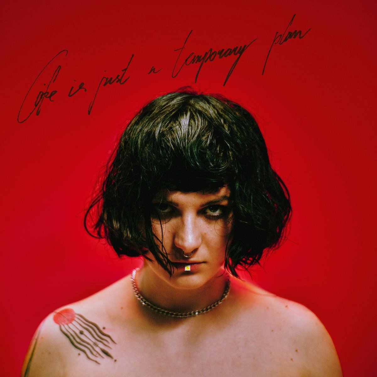 Abbie Falls - Life is Just a Temporary Plan (LP)