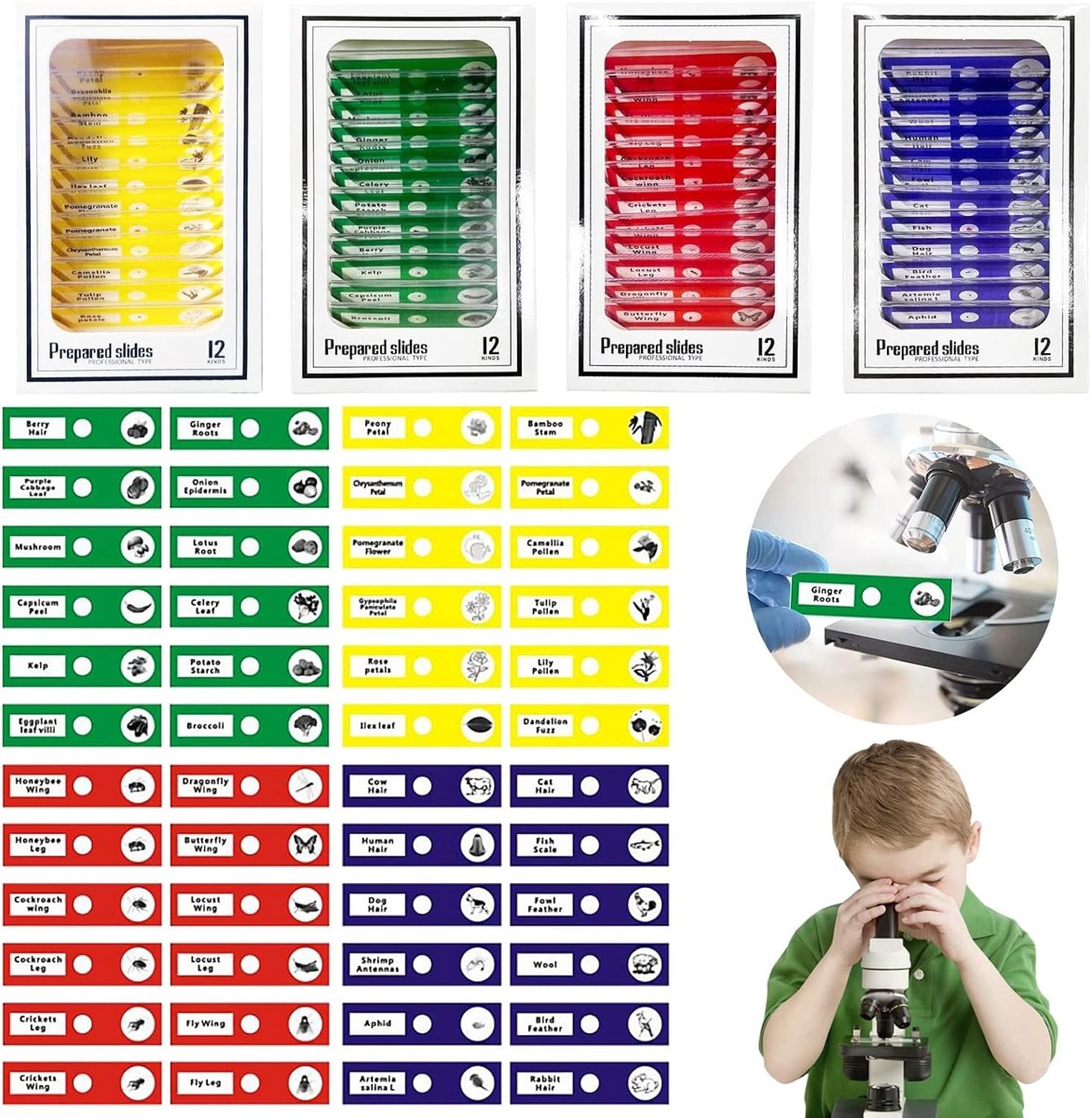 Set van 48 microscoopaccessoires met preparaten van dieren, insecten en planten voor wetenschappelijk onderzoek