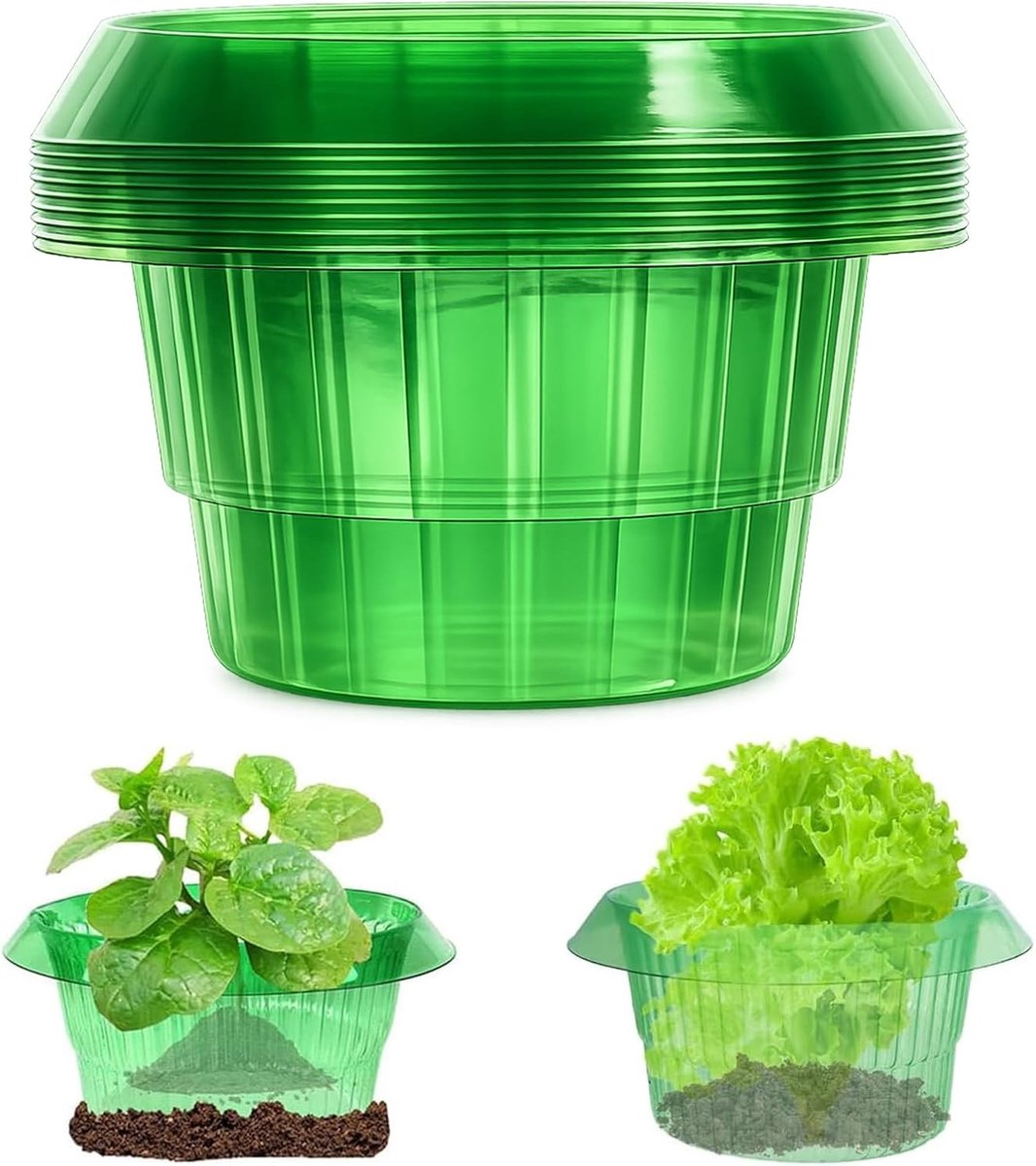 10 Stuks Slakkenbescherming Ringen voor Sla en Koolplanten, Ideaal voor Mini Kassen en Plantenbescherming
