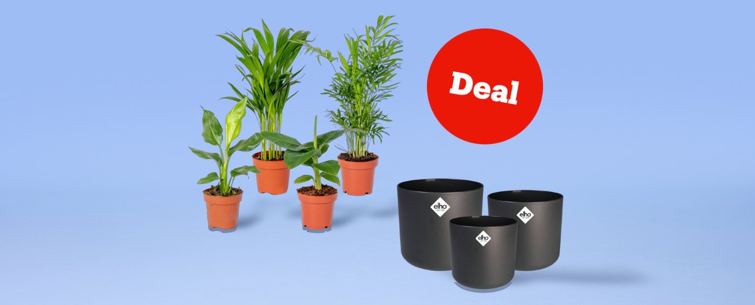 Offre sur