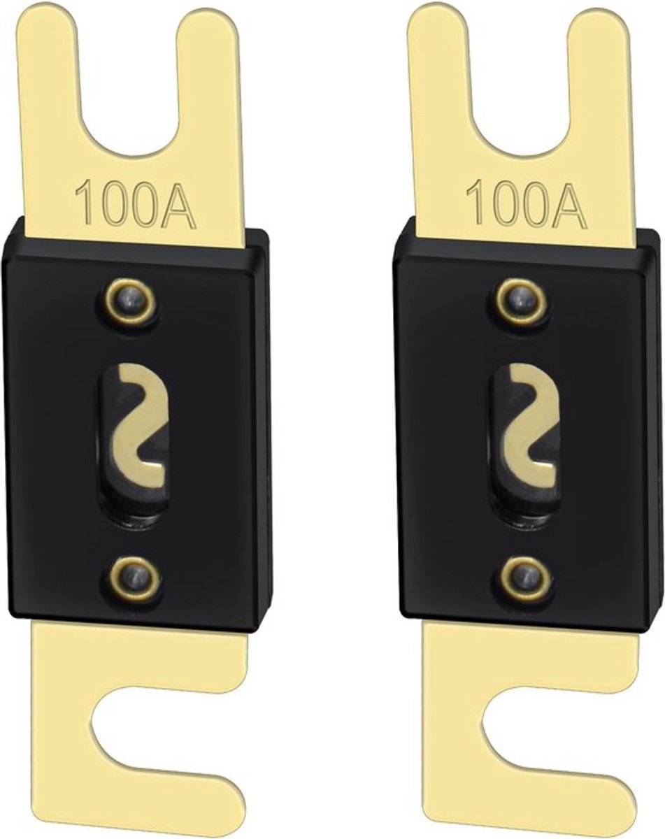 Golden crown Fuse 100a Fuse 2-Pack – Voor Car Audio 100 Amp Goud